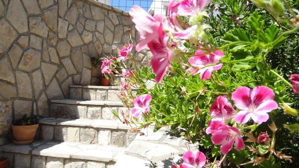 Apartments Miki Bar Rom bilde